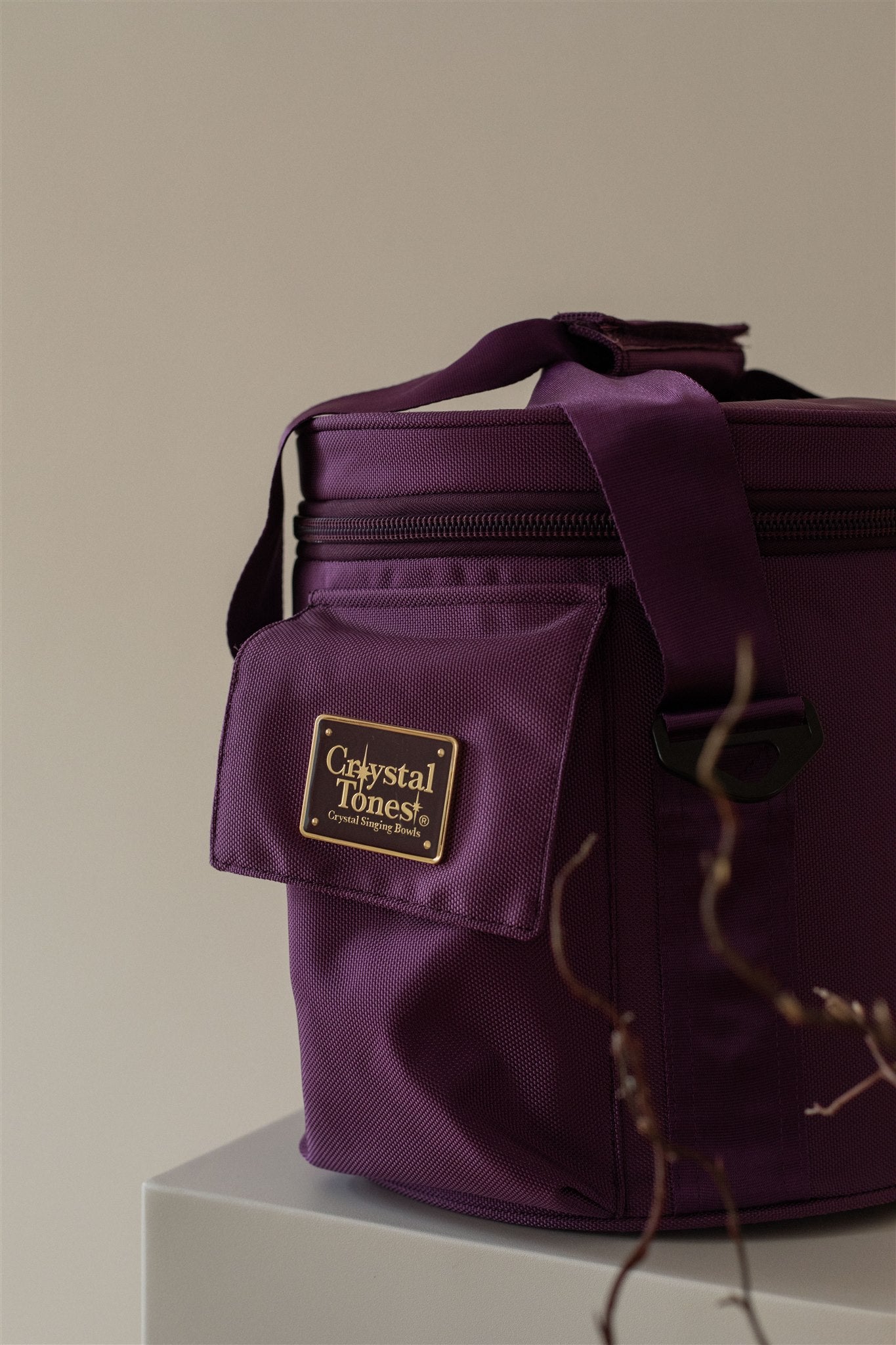 Purple Ballistic Case 12”